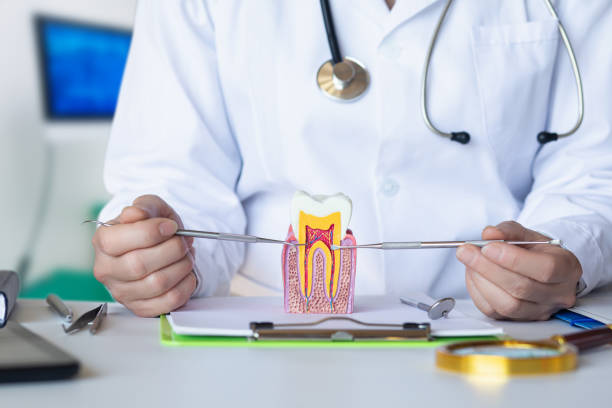 Best Urgent Dental Care for Toothache in Elwood, KS